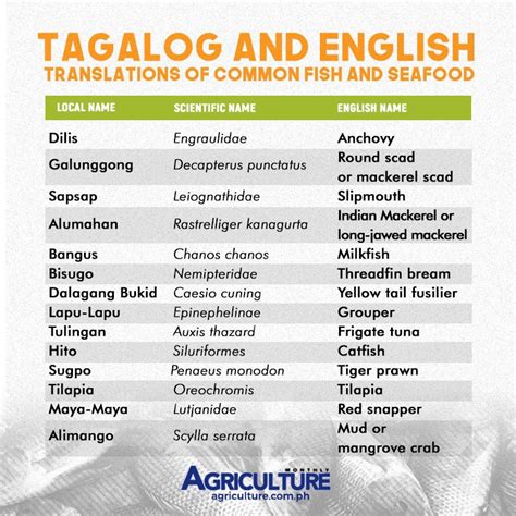 bayang fish|Local and English names of common fish and seafood in the .